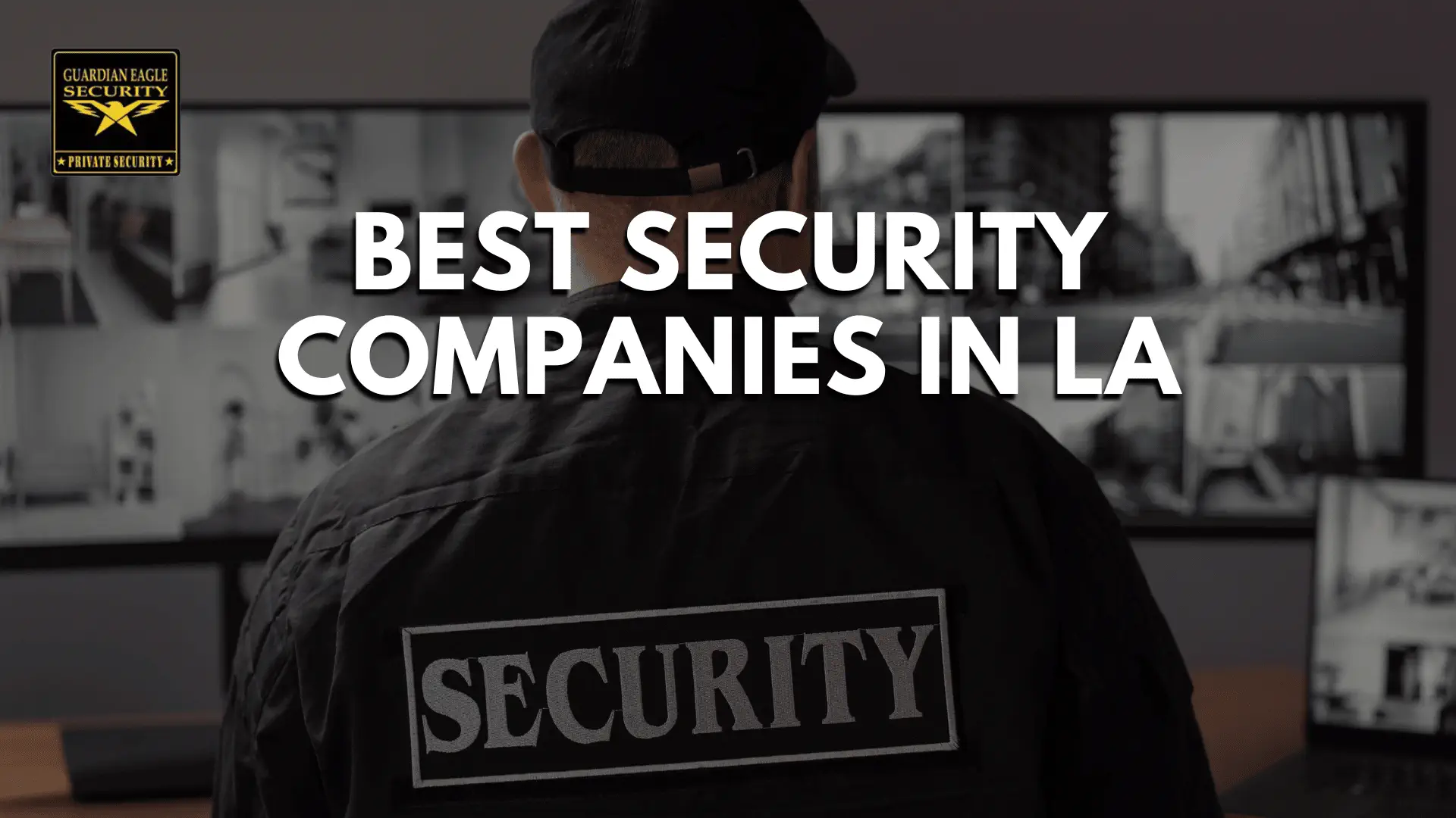 best security companies in la 1