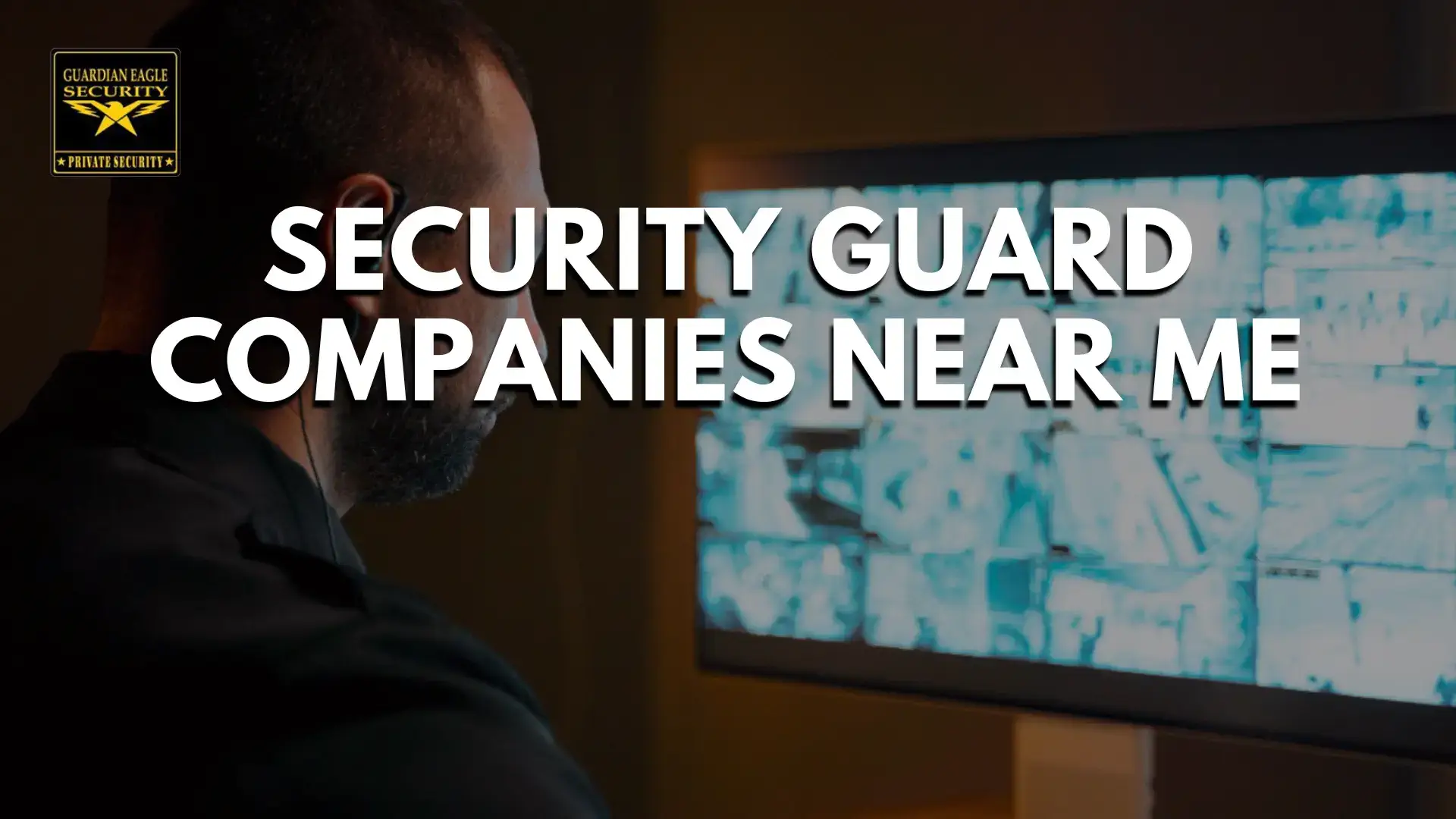 security guard companies near m